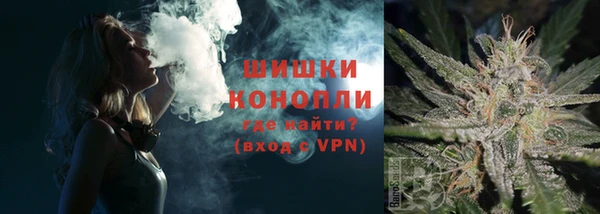 дмт Медногорск