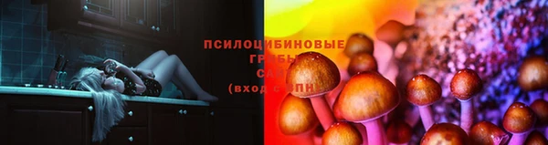дмт Медногорск