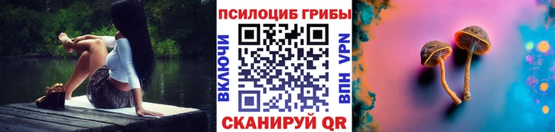Псилоцибиновые грибы Psilocybe  Когалым 