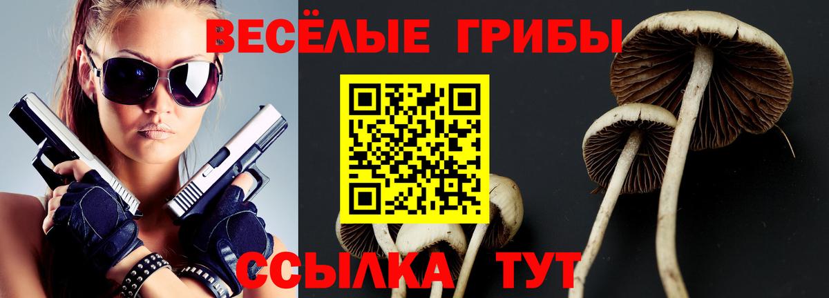 Когалым  Псилоцибиновые грибы Psilocybine cubensis  Вход с VPN 